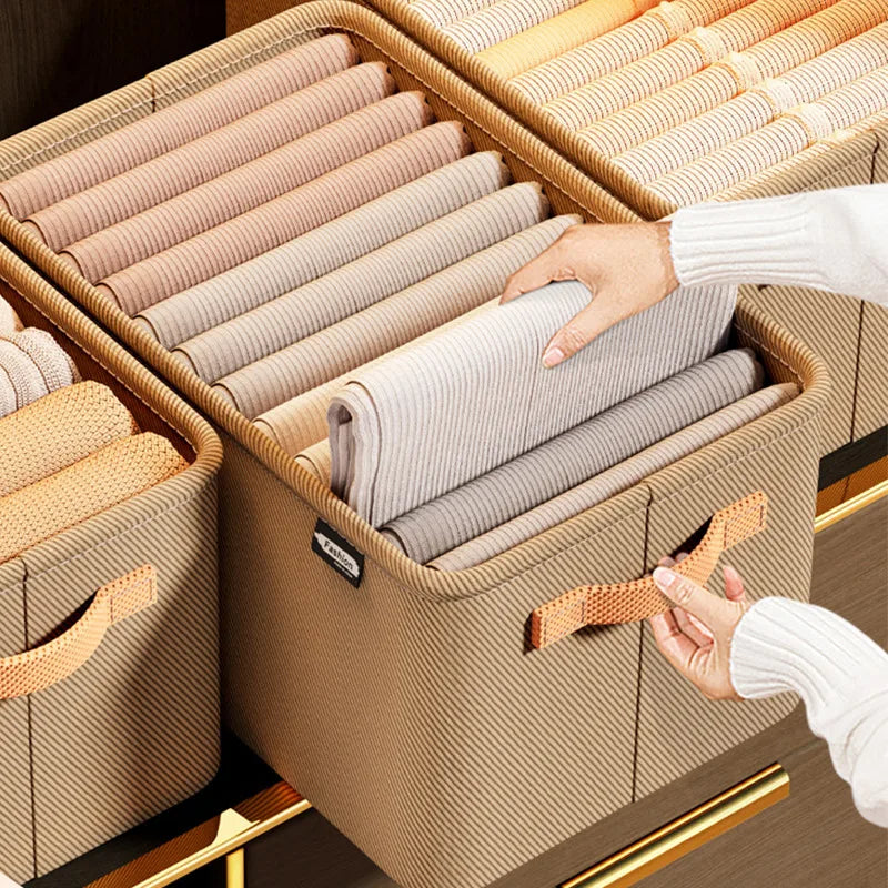 Organizador Premium